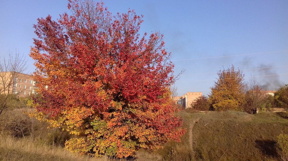 Photo #2023442