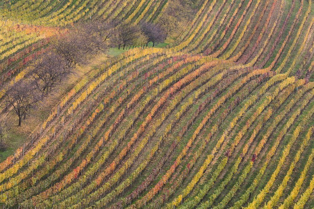 Осень пришла!