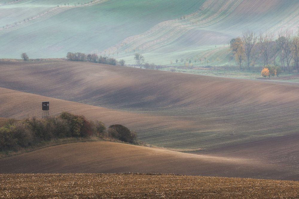 Утренние грезы