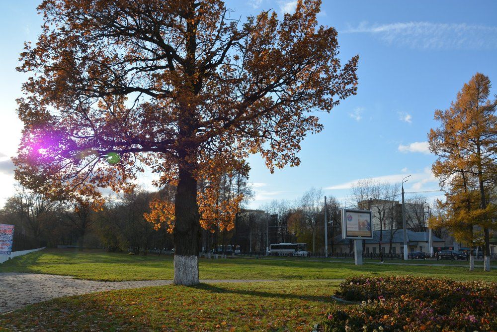 Осенний вечер