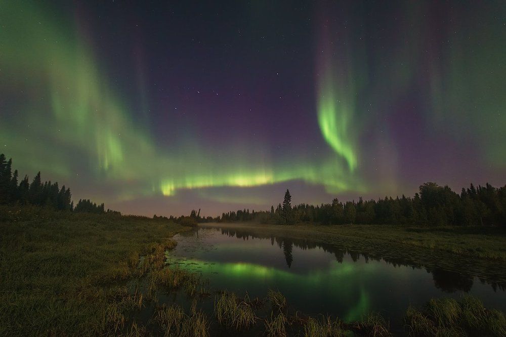 Краски ночной осени