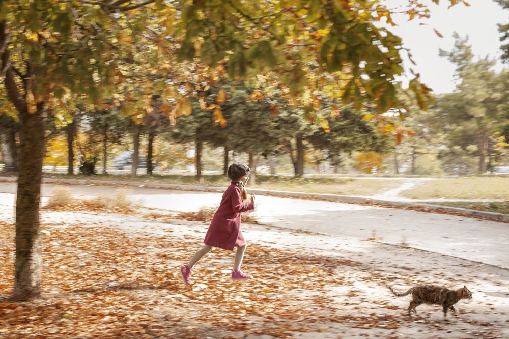 Осенние прогулки