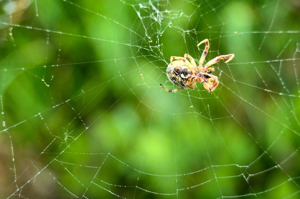 Photograph by Качанов Вадим