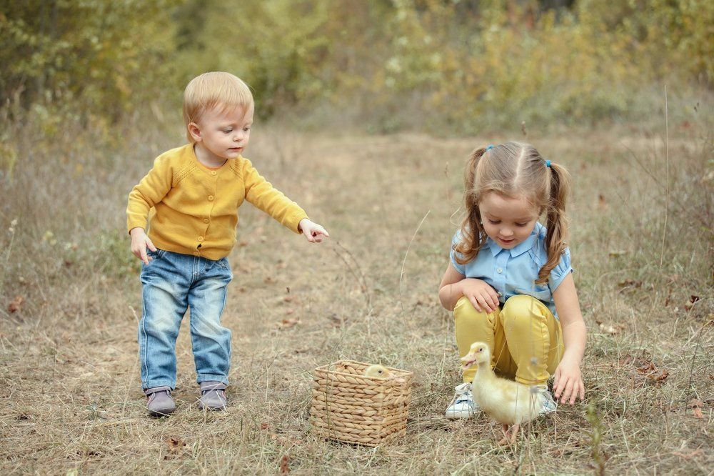 Ребята и утята