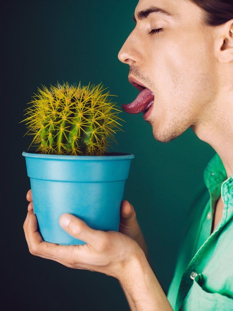 The Forbidden fruit.