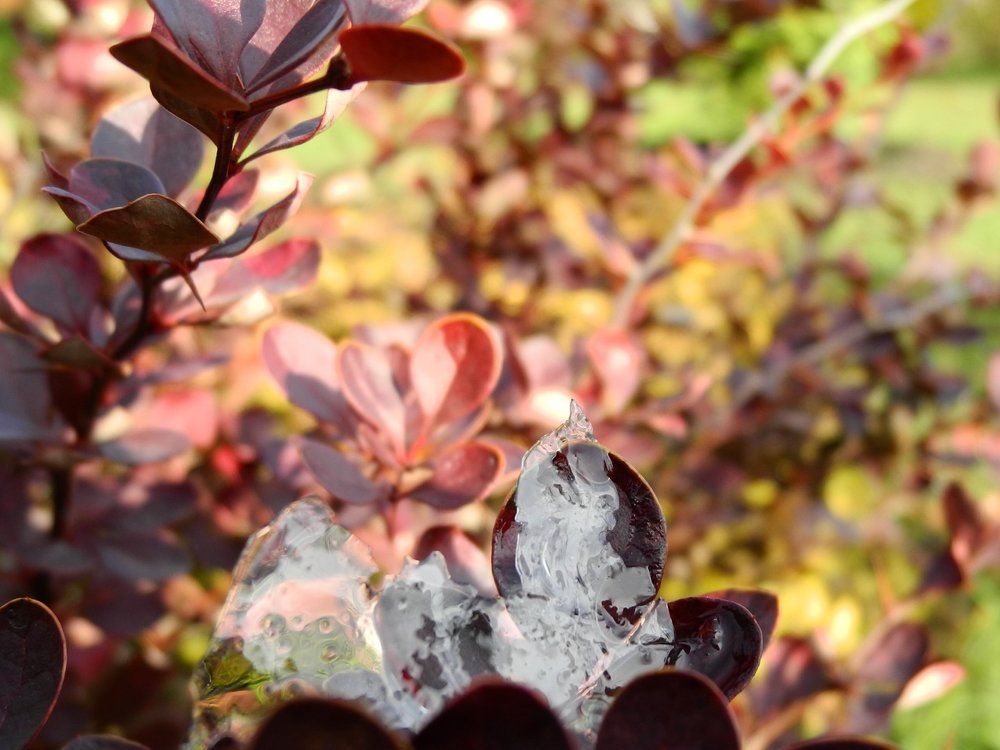 Творческий фильтр