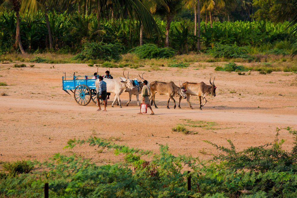 штат Карнатака