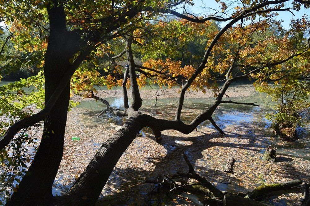 Свет и тени