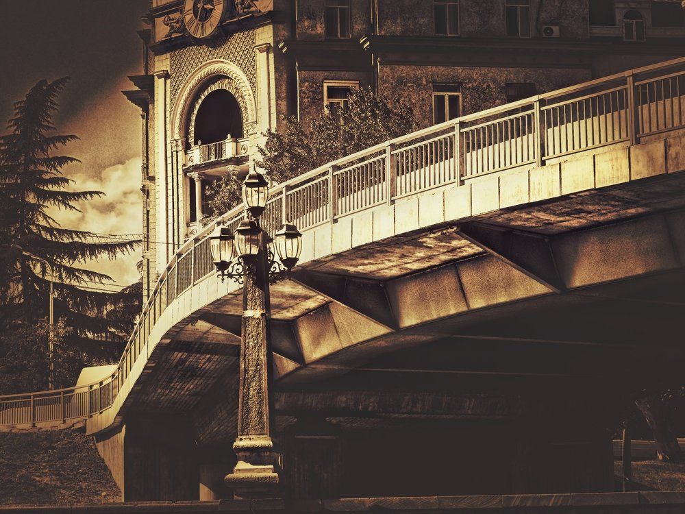 Photograph by Vladimir Barenboym