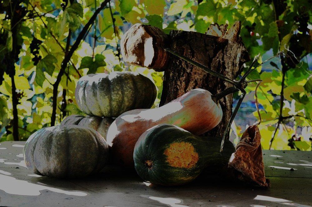 Натюрморт с тыквой.