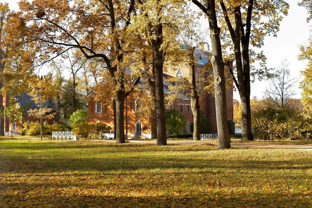 Photograph by Алексей Размашкин