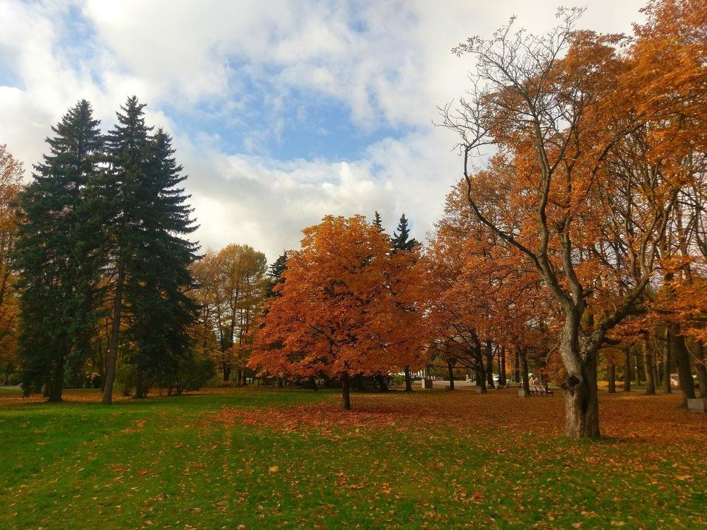 Photograph by Алексей Фомичев