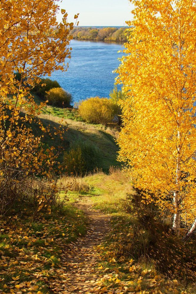 Краски осени