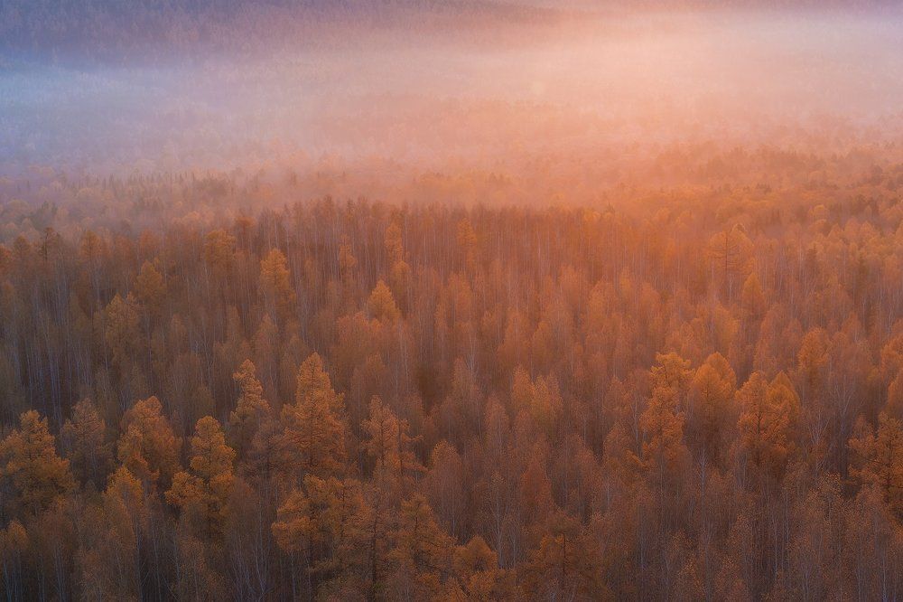 Уральский ковер