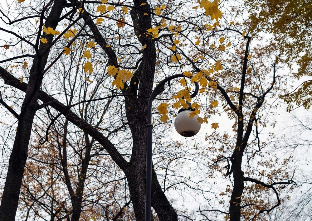 Photograph by Алексей Размашкин