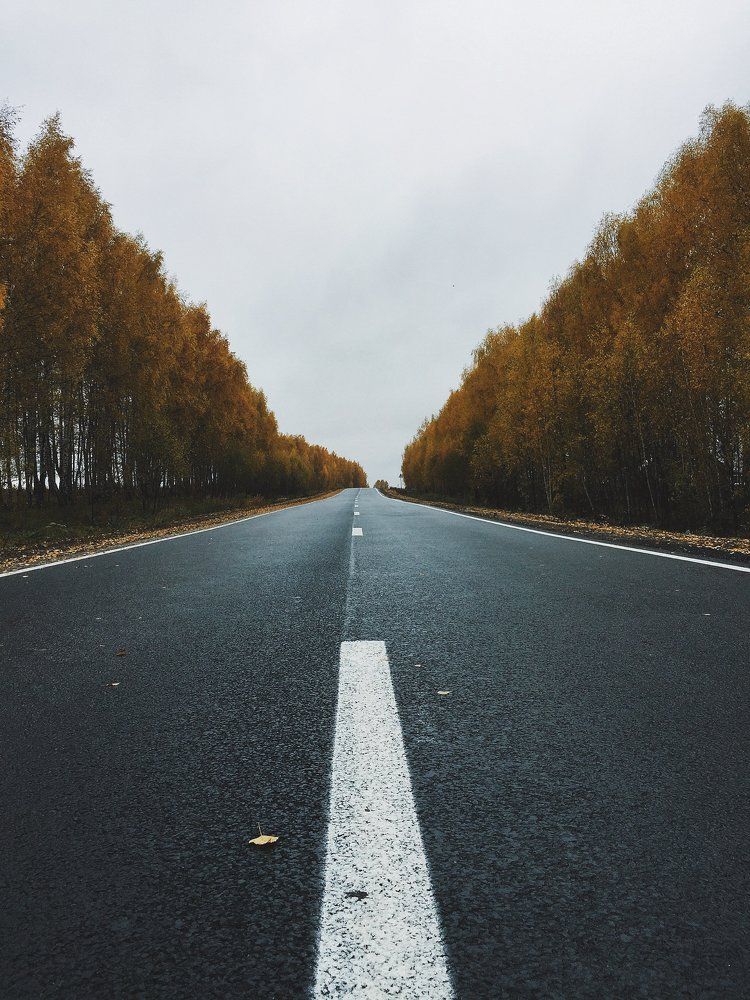 Photo #2024333