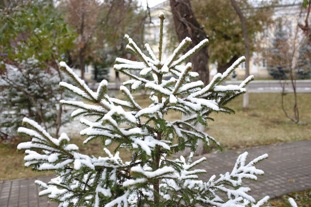 Photograph by Бондаренко Дмитрий