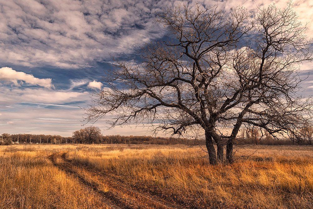 Фотография автора Игорь Баранов