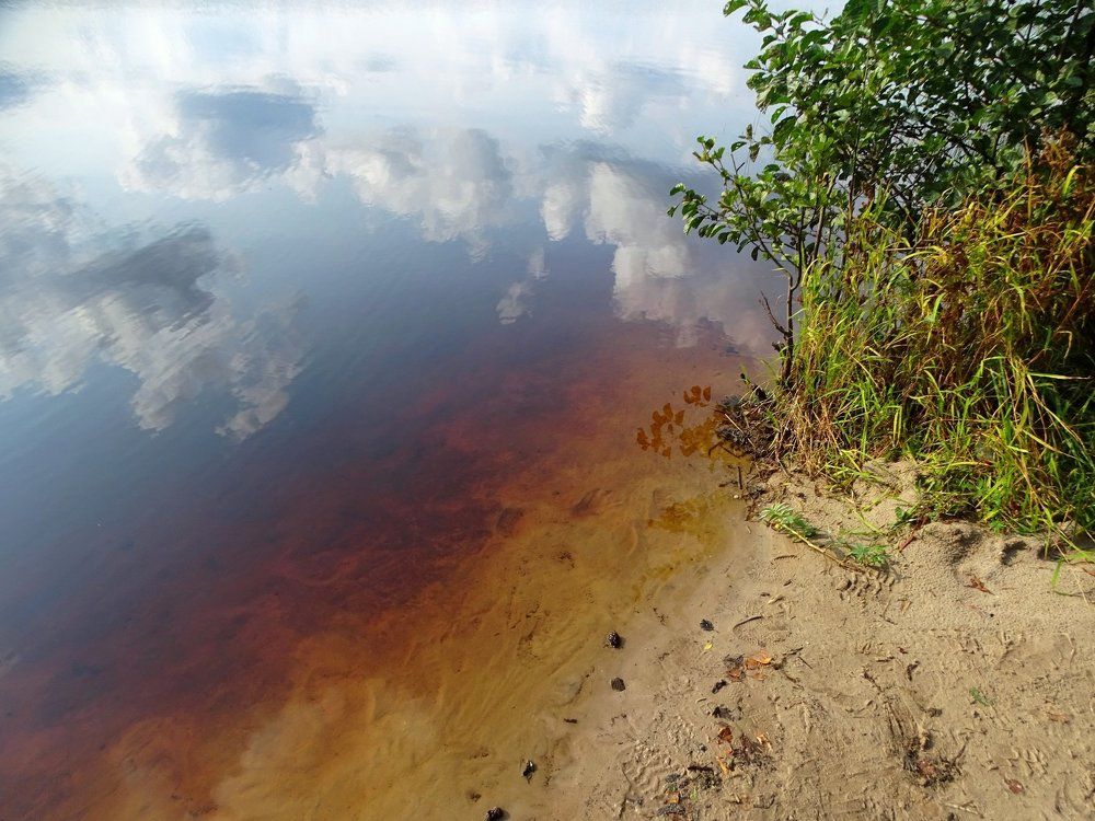 На берегу озера