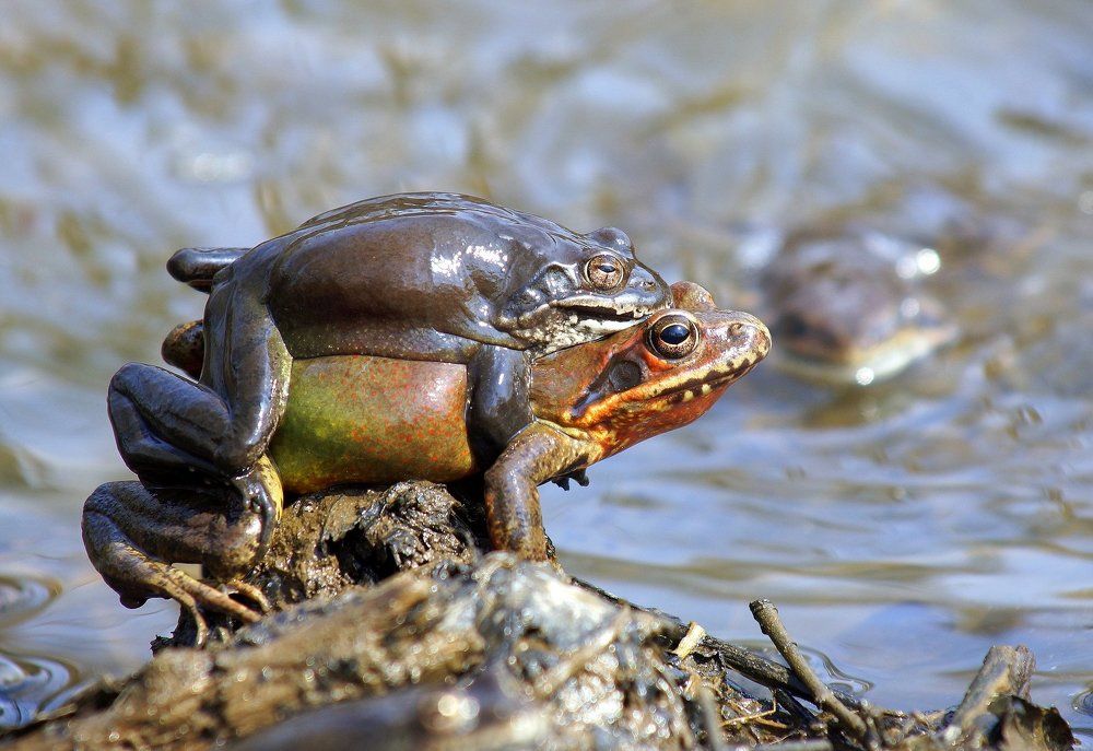 Всё своё ношу с собой.