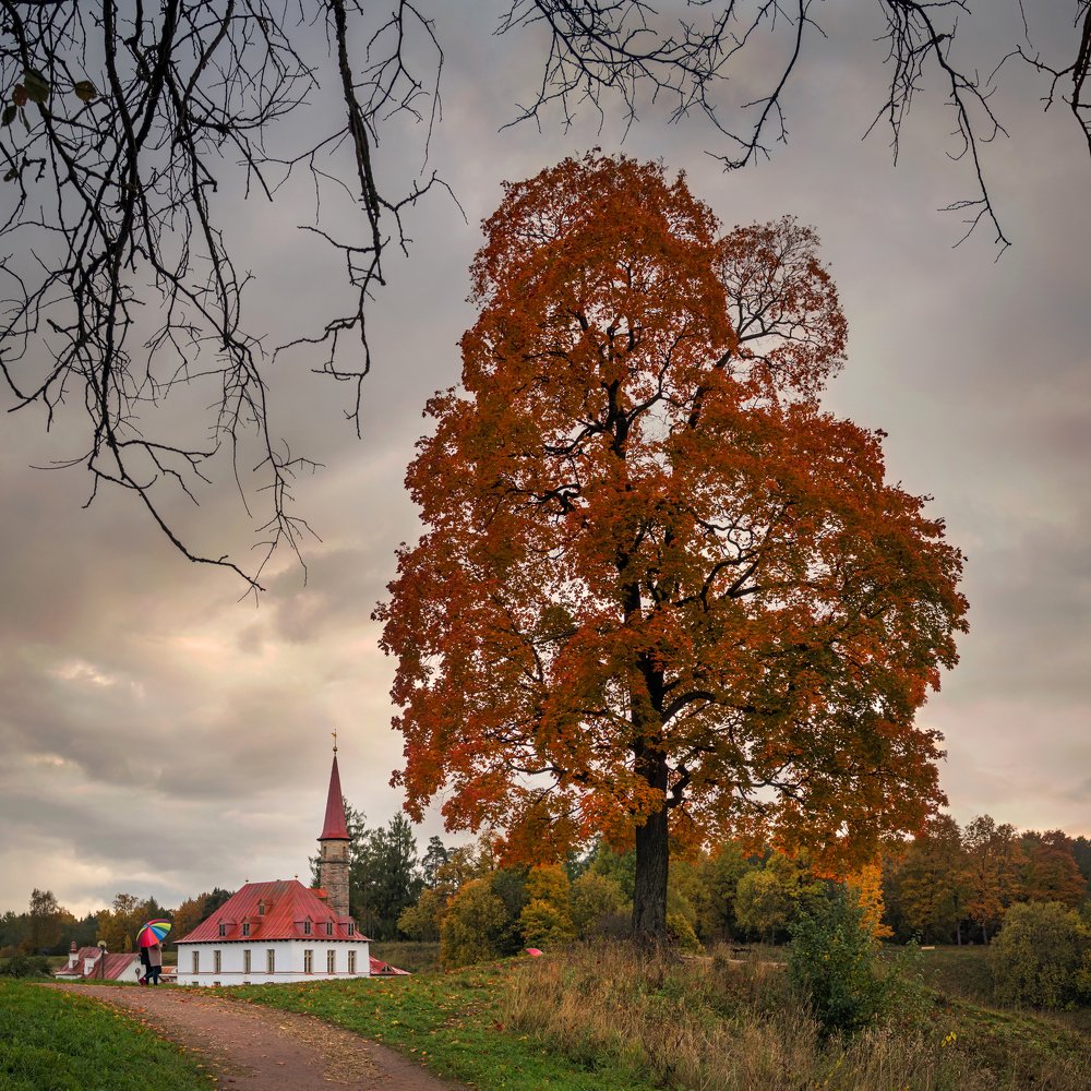 Осень в Приоратском парке