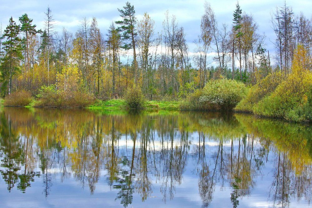 Осень в Подмосковье