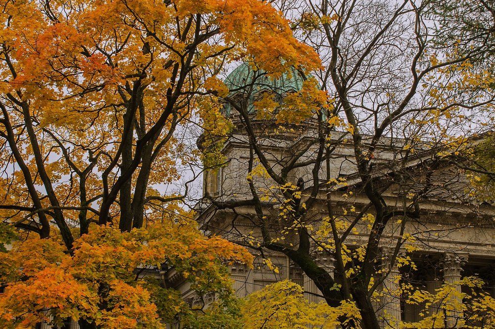 У Казанского собора