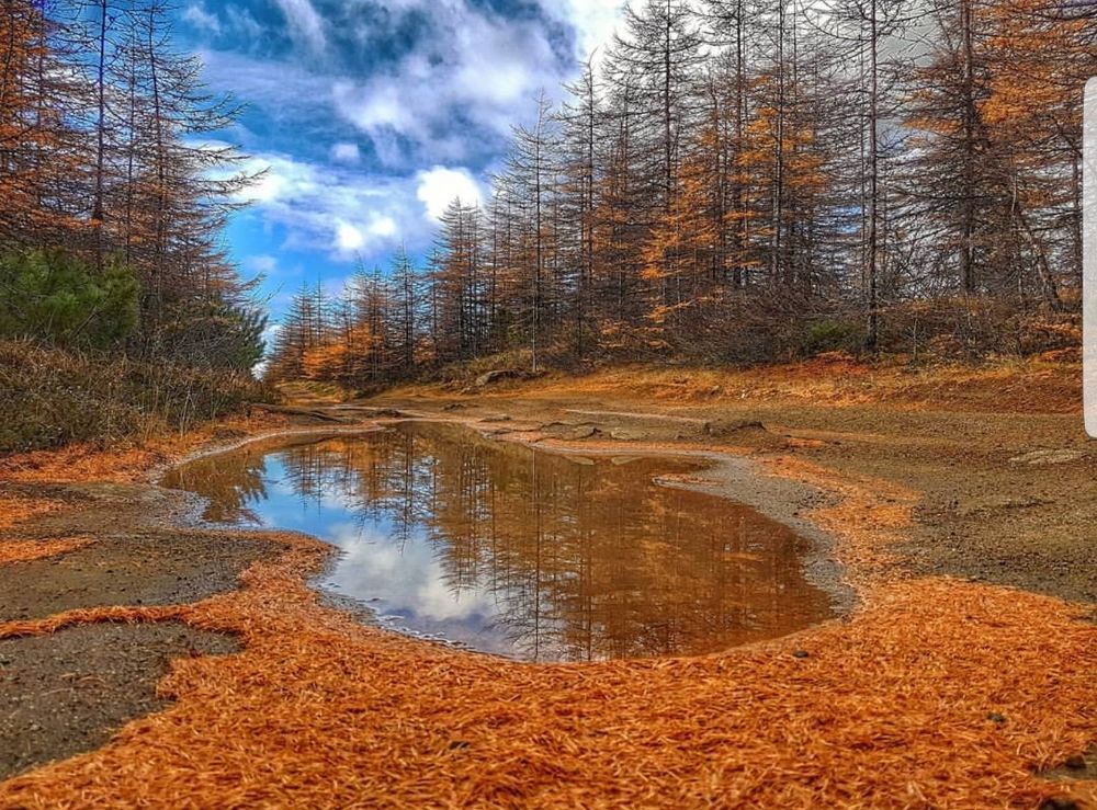 осенние краски