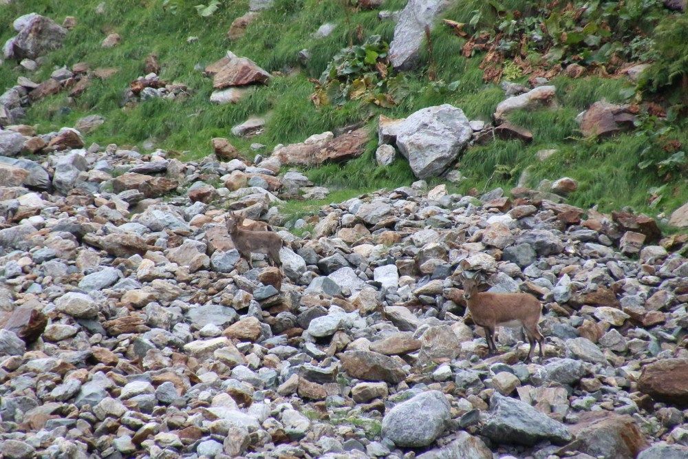 Photograph by Ольга