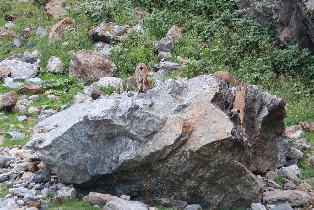 Photograph by Ольга