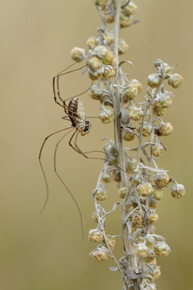 Обеденный перерыв.