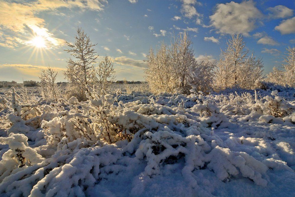 Снежный бархат.