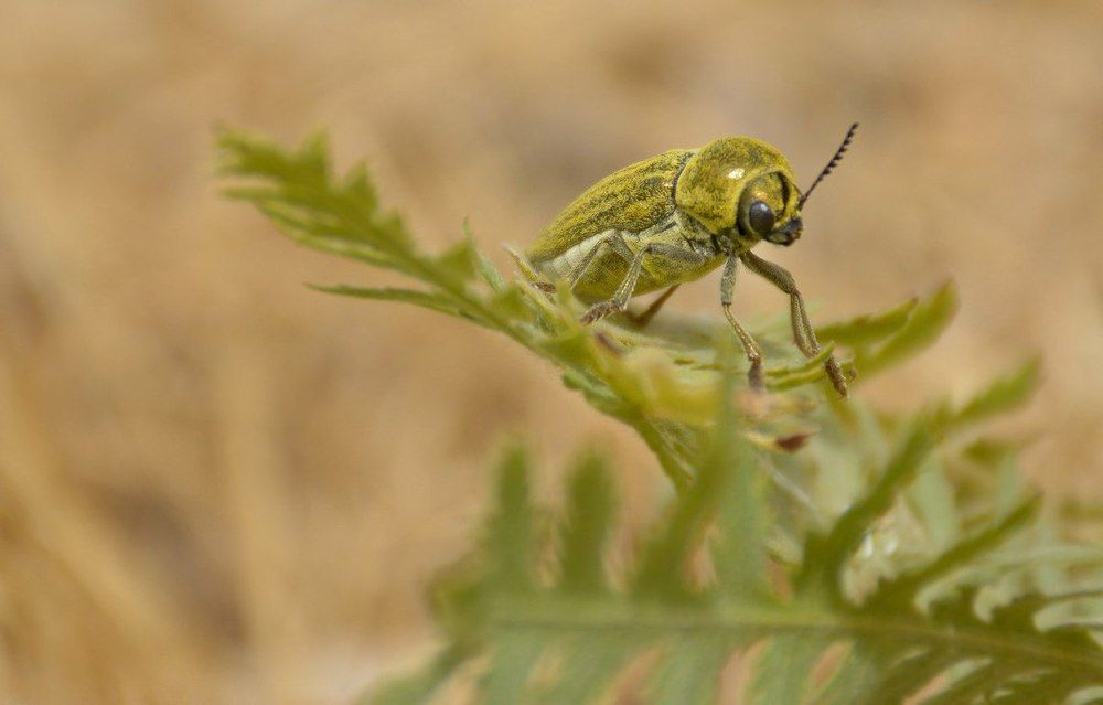 Photograph by Beer Serega