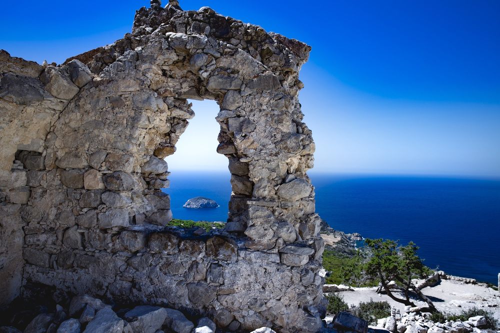 Игольчатое ушко