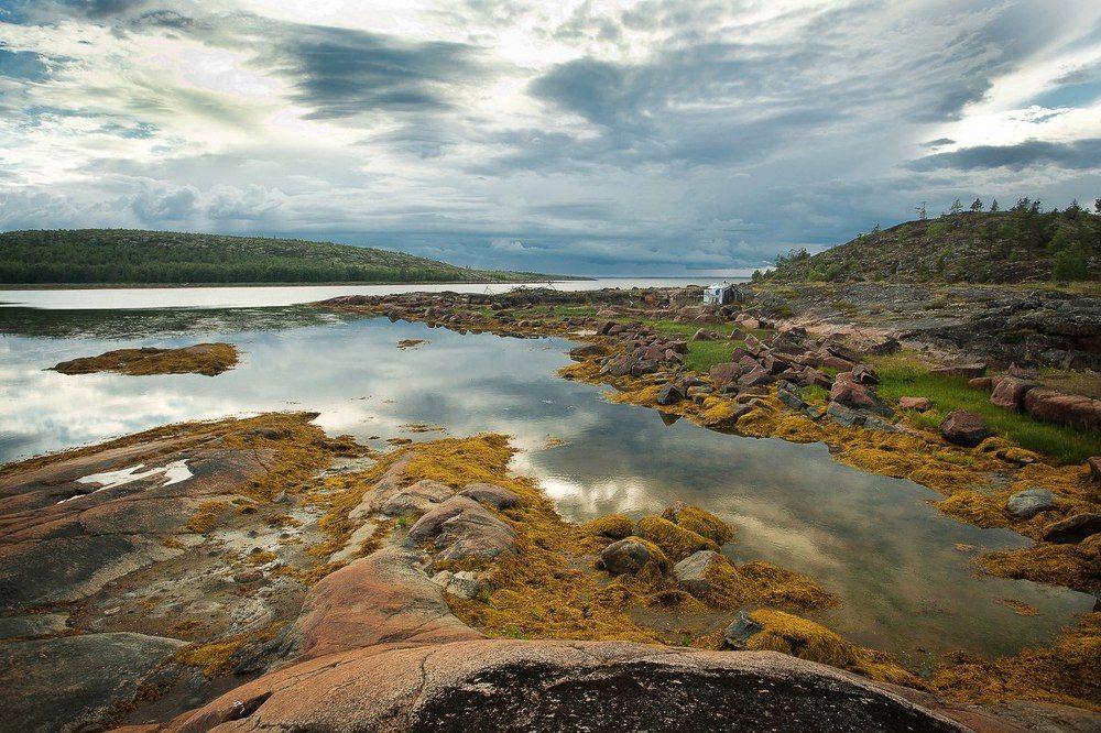 Белое море. Отлив.