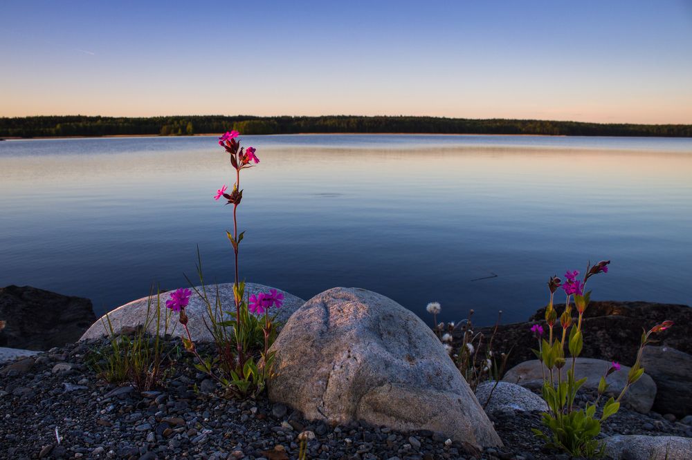 Карельским вечером