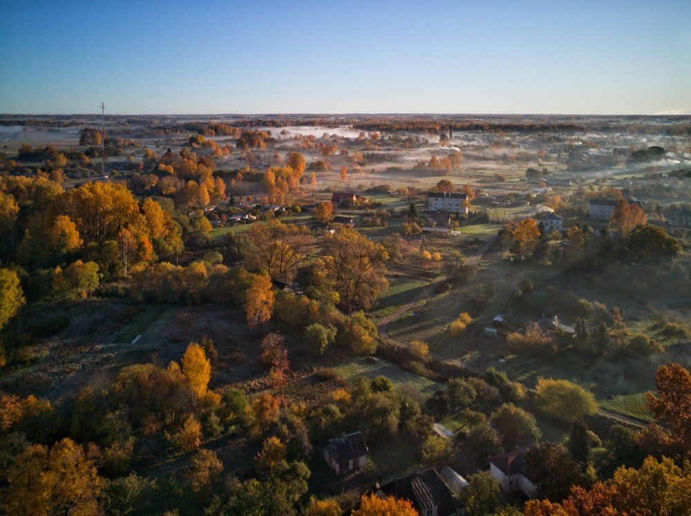 Туманное осеннее утро