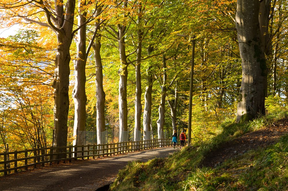 Photograph by Aleksejs Kuropatkins