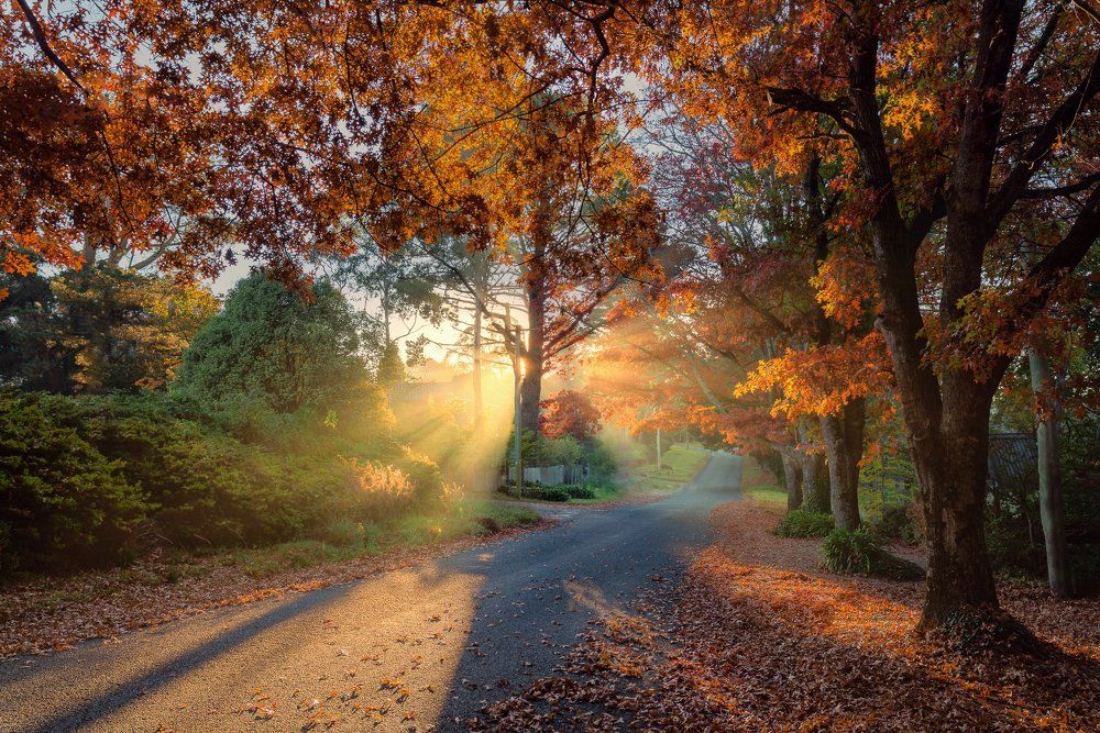 Autumn is coming to Blackheath