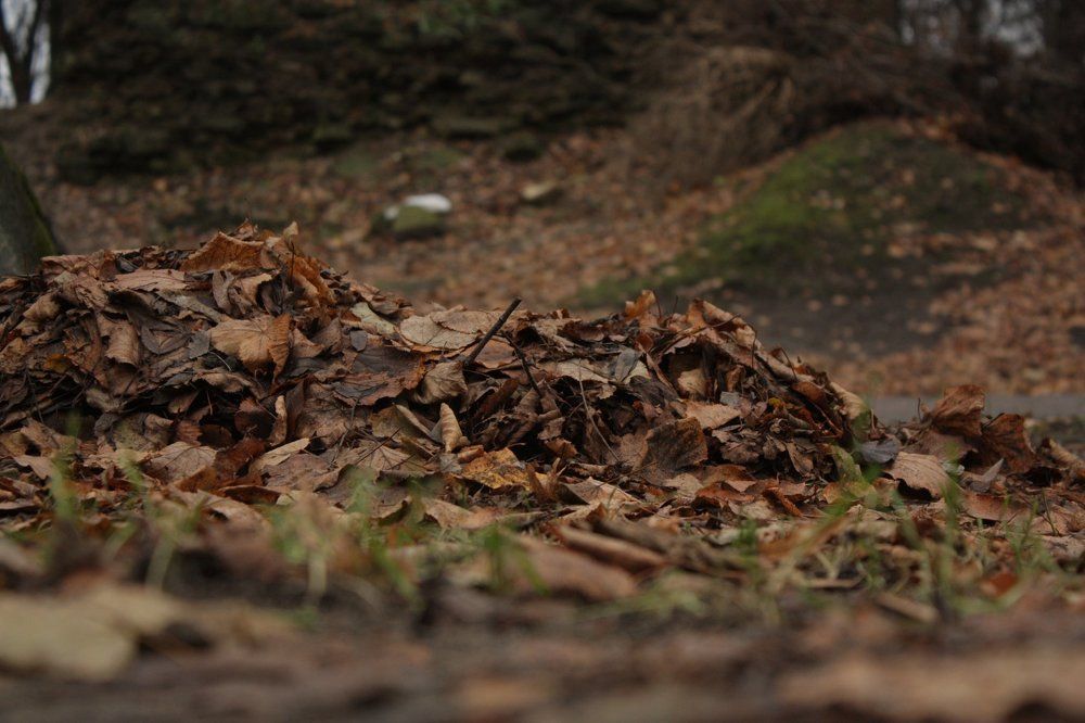 Photograph by Наталья