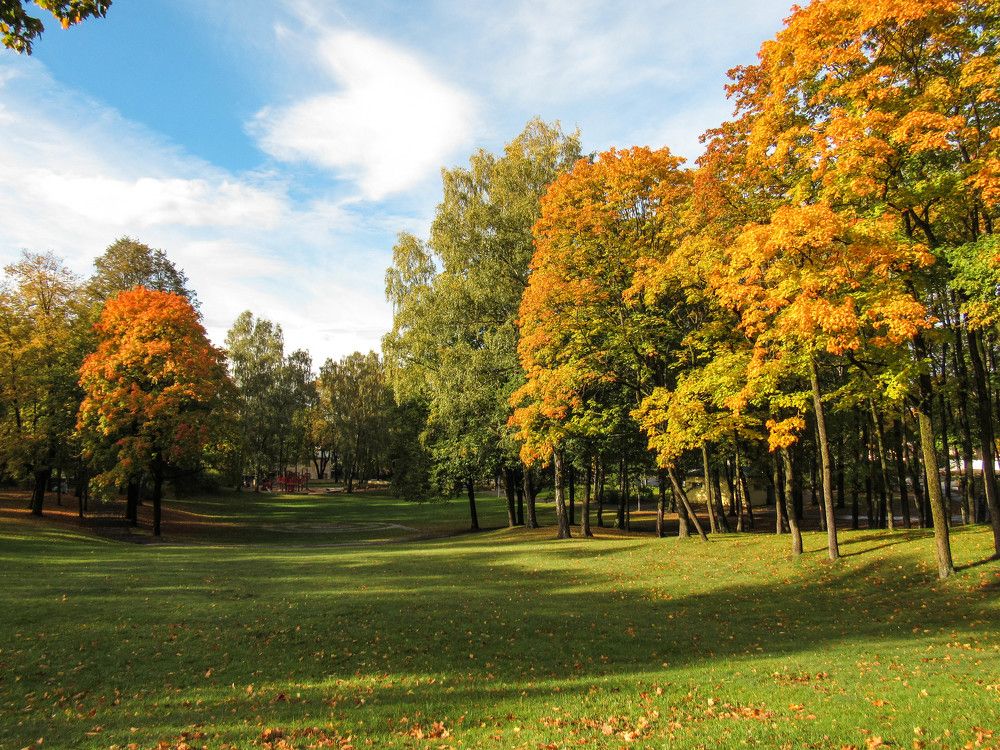 Photograph by Карина Хаустова