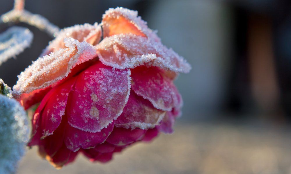 Photograph by Мария Барановская