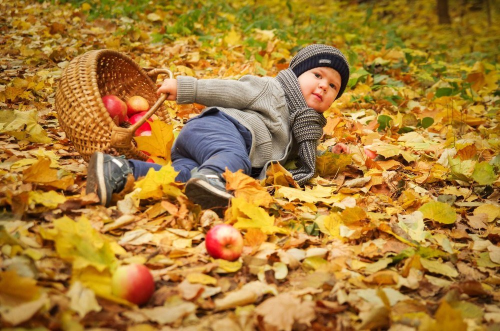 Осенние яблочки
