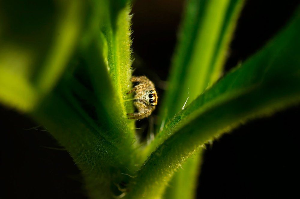 Photograph by Тараненко Анжелика