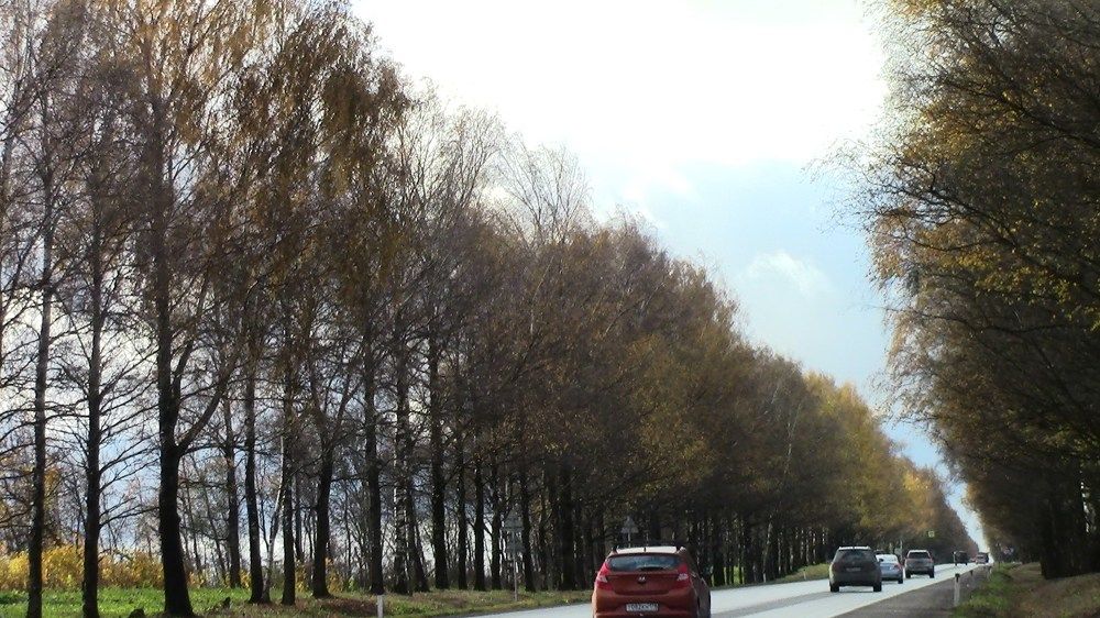 Осеньняя дорога