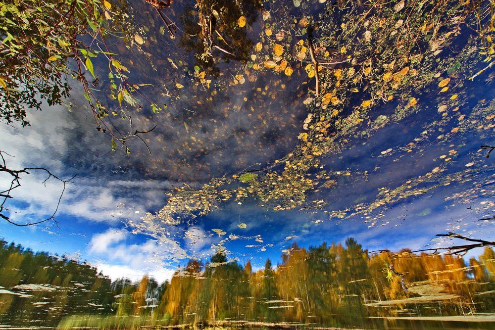 Осеннее отражение