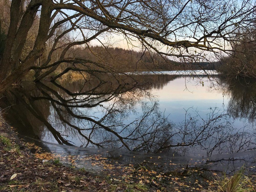 ... где-то под Минском...(телефонофото:))