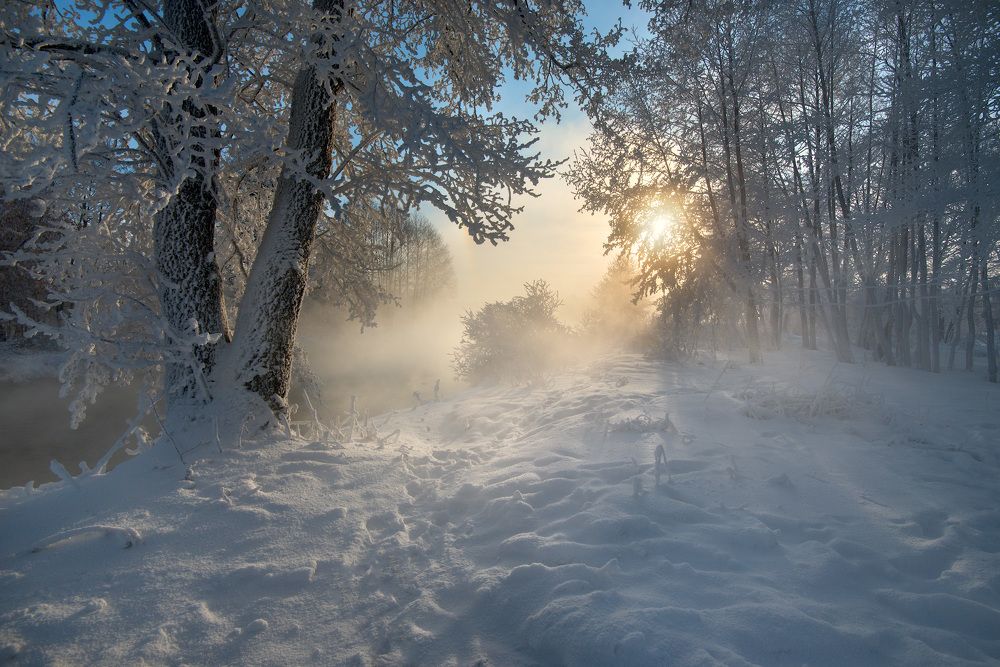 В гостях у сказки.