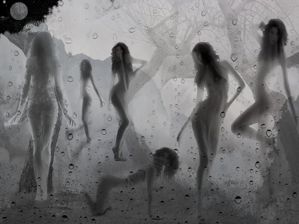 Ночная фантазия