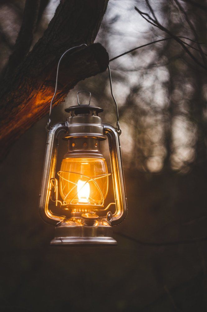 Photograph by Бадаев Антон